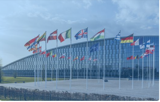 US Weighs Retaliation Against NATO Allies Over Iran War Divisions